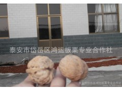 多 新疆特产纸皮核桃坚果特产零食精选纸皮核桃250g