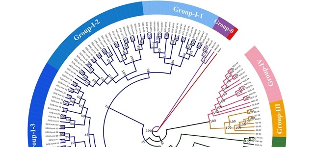 科学家揭示杏起源与传播